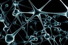 استفاده از داربست سه بعدی برای بهبود بقای نورون های مشتق از سلول های بنیادی