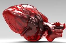 تولید عضله قلبی از سلول های بنیادی می تواند به درمان بیماری های قلبی عروقی کمک کند