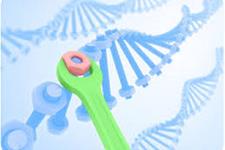 بهبود انتقال DNA در ژن درمانی