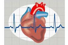 تحریک الکتریکی می تواند ویژگی های ضربانی سلول های قلبی در حال تشکیل را تنظیم و هماهنگ سازد