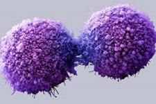تضعیف سلول های سرطانی با استفاده از یک مکانیسم دو مرحله ای