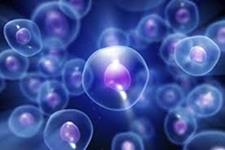 تکنولوژی های جدید دسته بندی سلولی(cell-sorting) می توانند به سلول درمانی های موثرتر منتهی شوند
