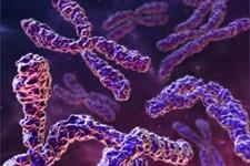 کشف جزئیات بیشتر ژنتیک سندرمX شکننده