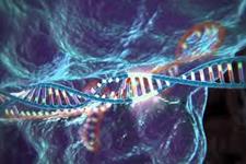 روشن شدن سوئیچ های ژنتیکی در طی تکوین و تکامل