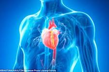 سلول های بنیادی بالغ برای بیماری که دچار حمله قلبی شده بود