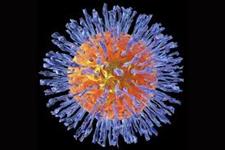 ارتباط ویروس تب خال وراثتی با انسان های نخستین