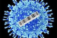 شناسایی یک بارکد ویروسی برای عبور از سد خونی –مغزی در ژن درمانی