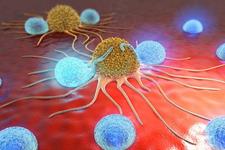دو کوچک مولکول بالقوه که رشد تومور را در سرطان های متعدد سرکوب می کنند