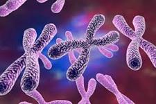 شناسایی مکانیسمی تاثیرگذار بر روی کروموزوم X که می تواند منجر به درمان بیماری های نادر و شایع شود