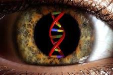 استفاده از ژن درمانی برای بهبود آتروفی اپتیک غالب چشمی