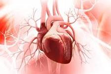 مهندسی عروق لنفی به عنوان درمانی برای بهبودی قلب