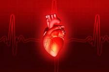 ارائه مدلی سه بعدی از حمله قلبی در شرایط آزمایشگاهی