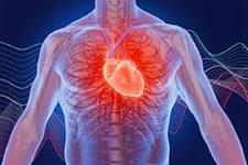 یک درمان بالقوه برای یکی از دلایل اصلی بیماری های قلبی