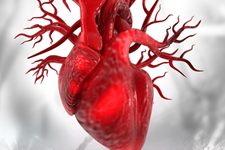 کشف ژن‌های جدید ایجاد کننده بیماری‌های قلب و اختلالات عروق مغزی