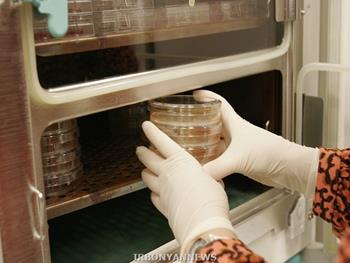 تولید بافت آسیب دیده در آزمایشگاه از راهکارهای ترمیم اندامی است