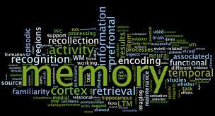 کشف ژن مسئول پاک شدن حافظه های قدیمی