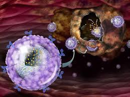 نانوذره ها سلول های بنیادی سرطانی را هدف قرار می دهند و می کشند