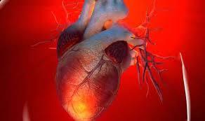 امیدوارکننده بودن سلول های بنیادی در ترمیم قلب کودکان