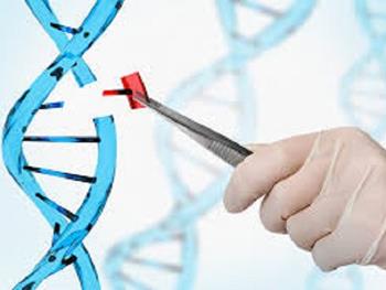 اولین مدل از پیشرفت لوکمیای میلوئید حاد با استفاده از CRISPR