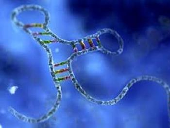 نقش مارپیچ های دو رشته ای DNA در تعیین سرنوشت جفت