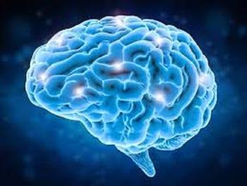 اثر منفی الکل بر روی فعالیت سلول های مغزی