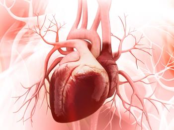 تولید ساختارهای قلبی کوچک انسانی مشابه قلب بالغ در شرایط آزمایشگاهی