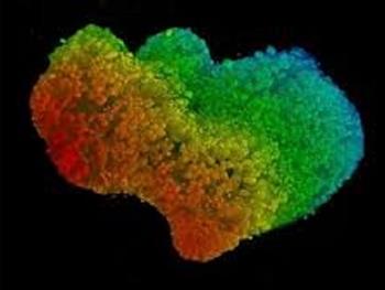 تولید ارگانوئیدهای قلبی سه بعدی