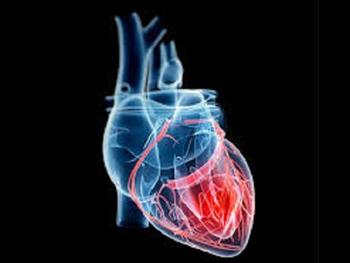 استفاده از سلول های بنیادی جفتی برای بهبود اثرات ناشی از حمله قلبی