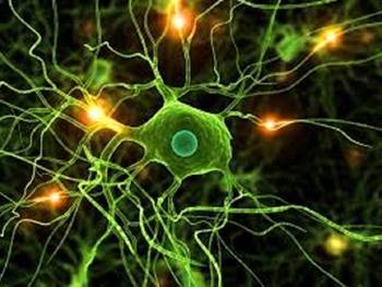 پیوند سلول های میکروگلیا برای رفع نواقص سیستم عصبی مرکزی