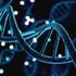 تشکیل مجموعه‌های حافظه از طریق مسیر TLR9 حسگر DNA