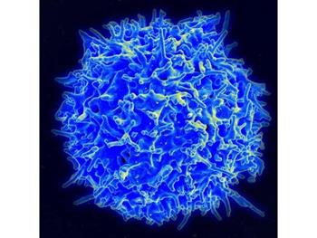 رد نقشCAR-T درمانی در بروز سرطان‌های ثانویه خون